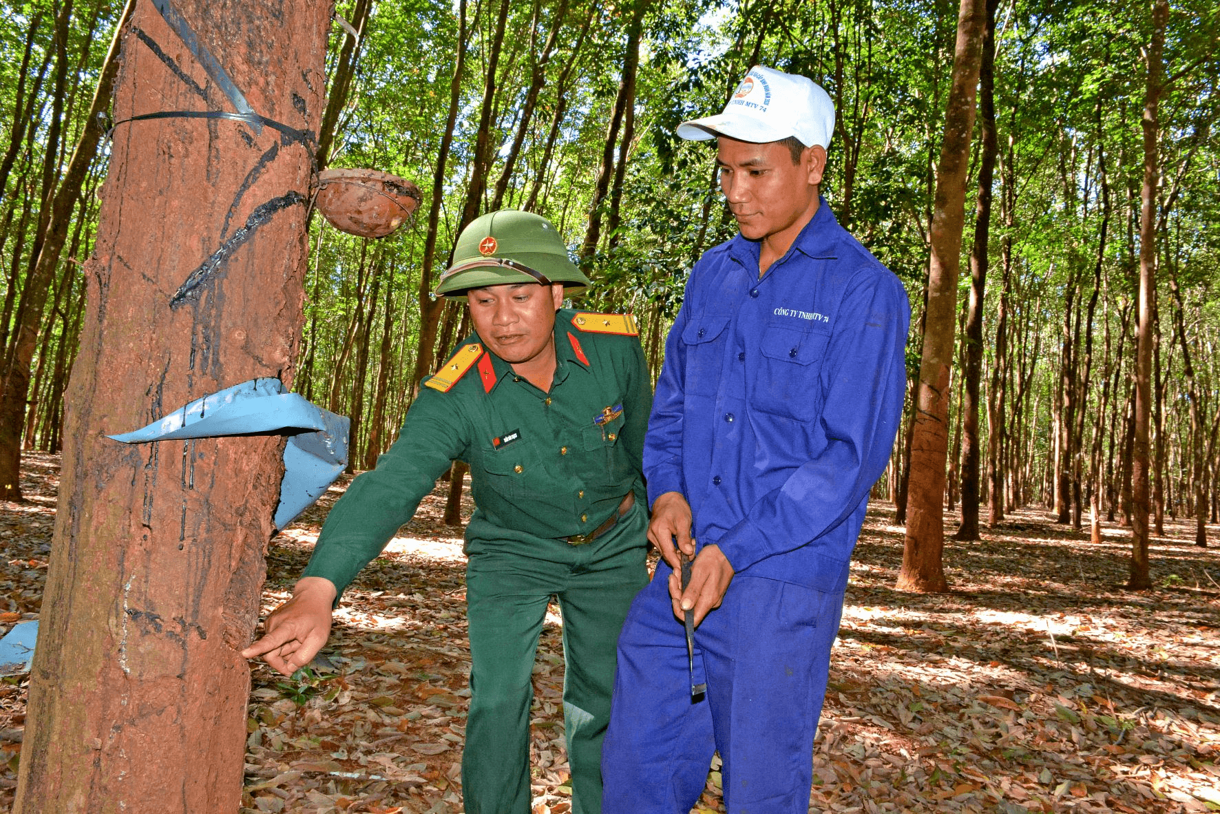 Những “bàn tay vàng” chung sức xây dựng vùng biên