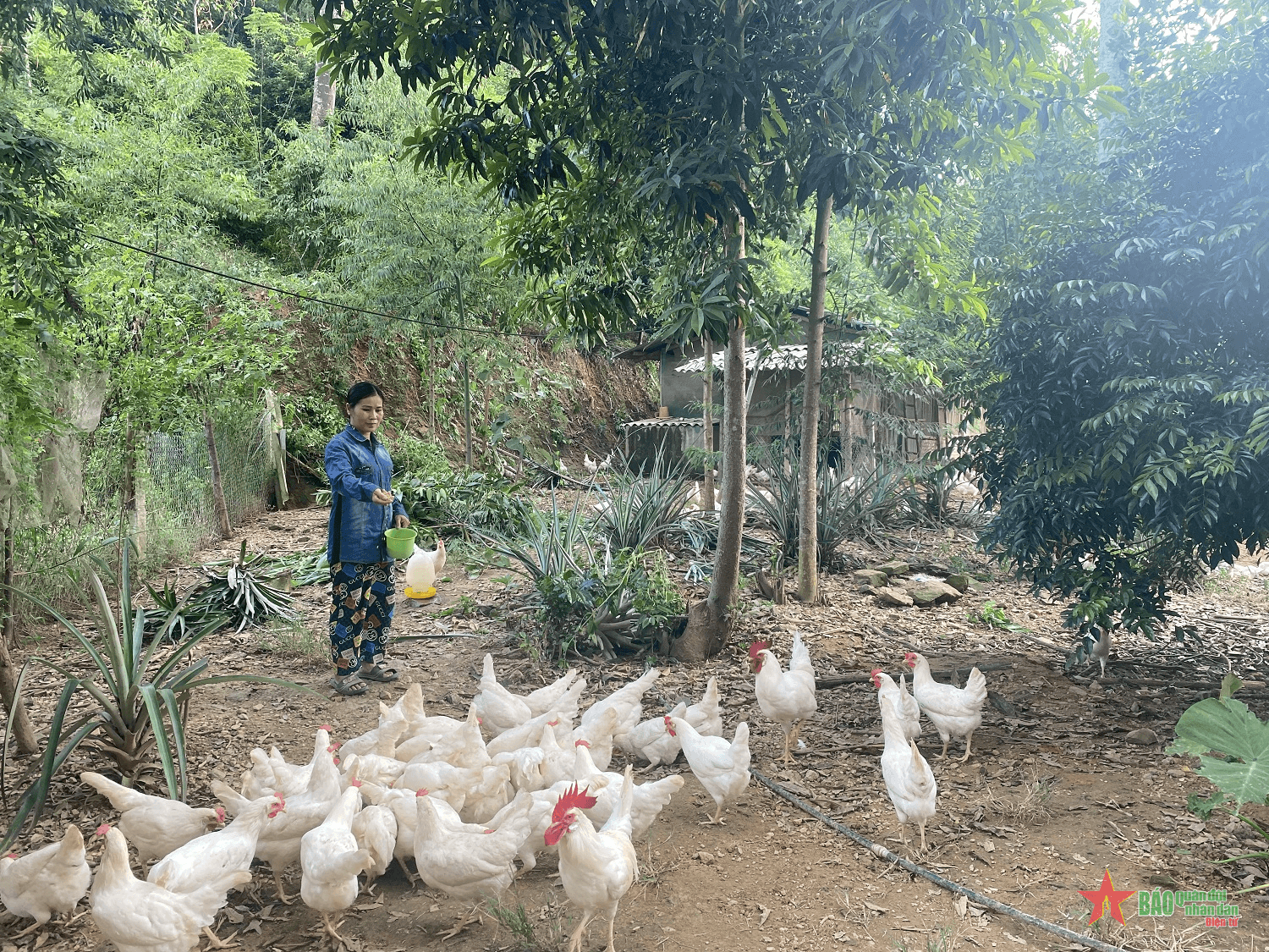 Quỹ hỗ trợ giúp phụ nữ phát triển kinh tế