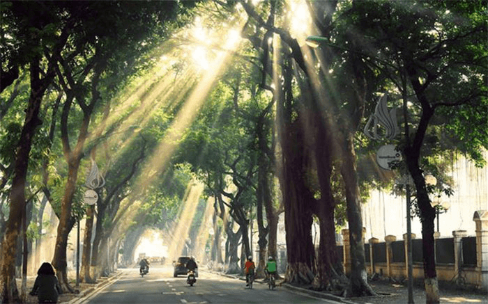 Hương quê trong lòng phố