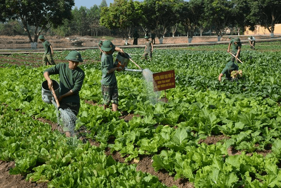 Cơ sở bố trí?