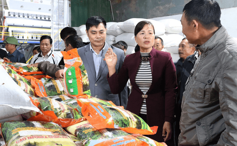 Hà Nội thành lập 4 đoàn liên ngành kiểm tra thực phẩm dịp Tết Quý Mão