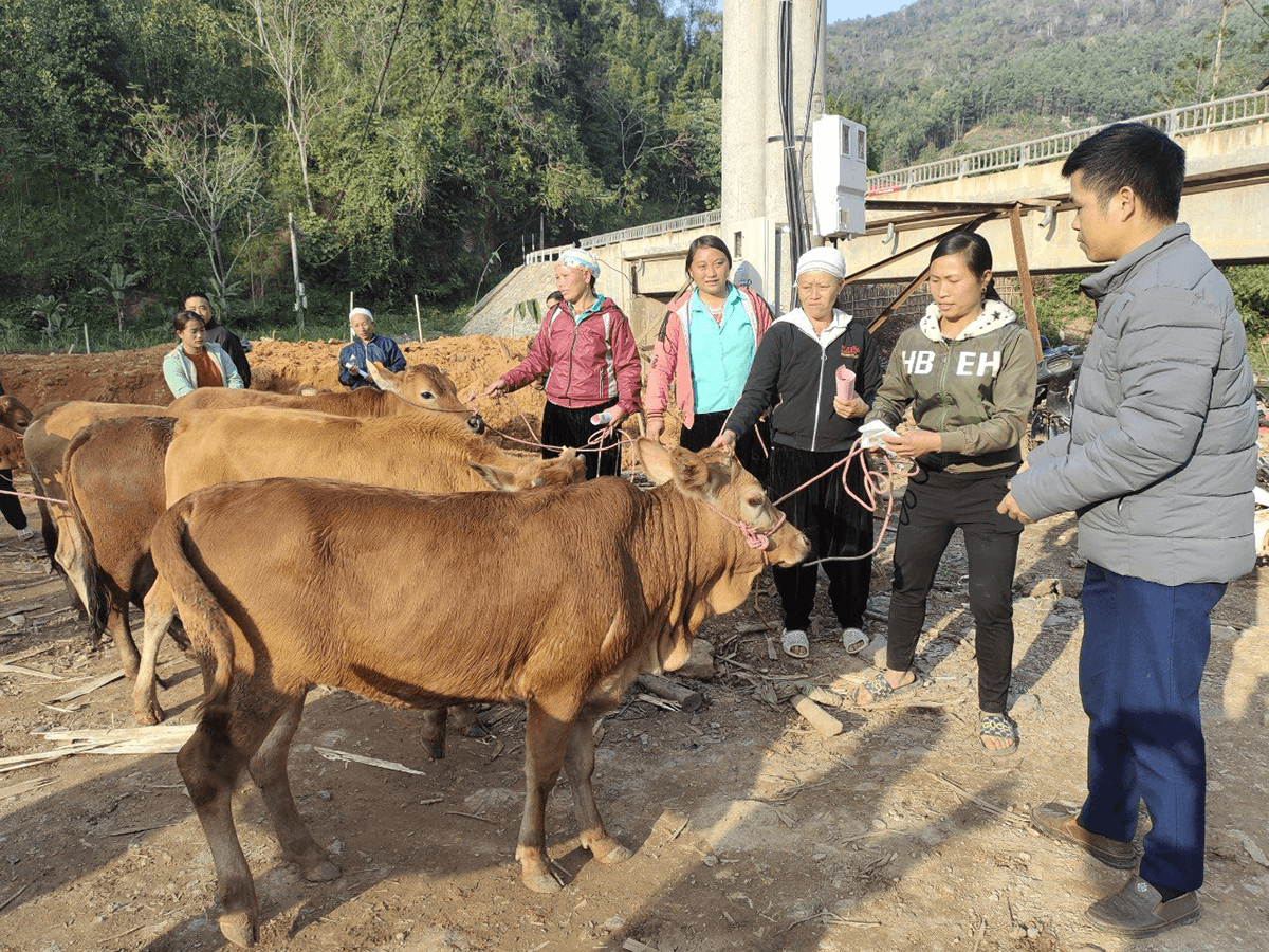 Bắc Kạn: Nhiều cách làm hay để giảm nghèo bền vững