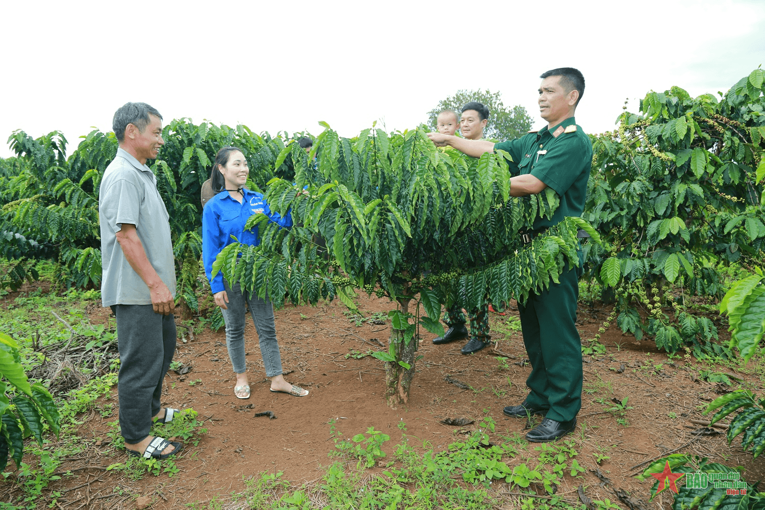 Sức trẻ trên vùng đất khó Quảng Sơn