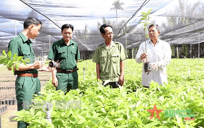 Xã luận: Kế tục truyền thống, đổi mới, phát triển