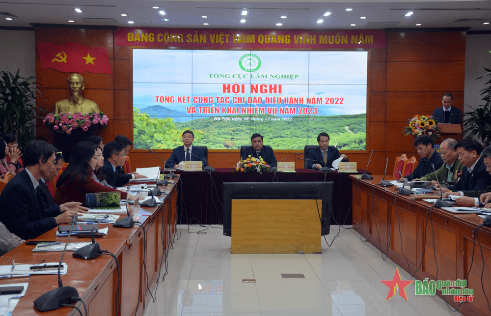 Lâm nghiệp năm 2022 vượt khó xuất siêu 14,1 tỷ USD