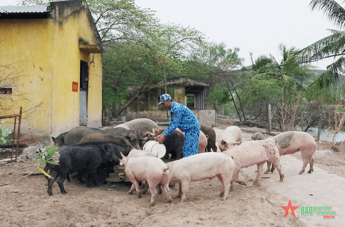 Trung đoàn 196 (Quân chủng Hải quân): Bảo đảm chu đáo thực phẩm đón Tết Nguyên đán Quý Mão