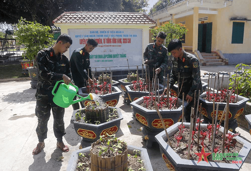 Để kịp vụ hoa đón Tết