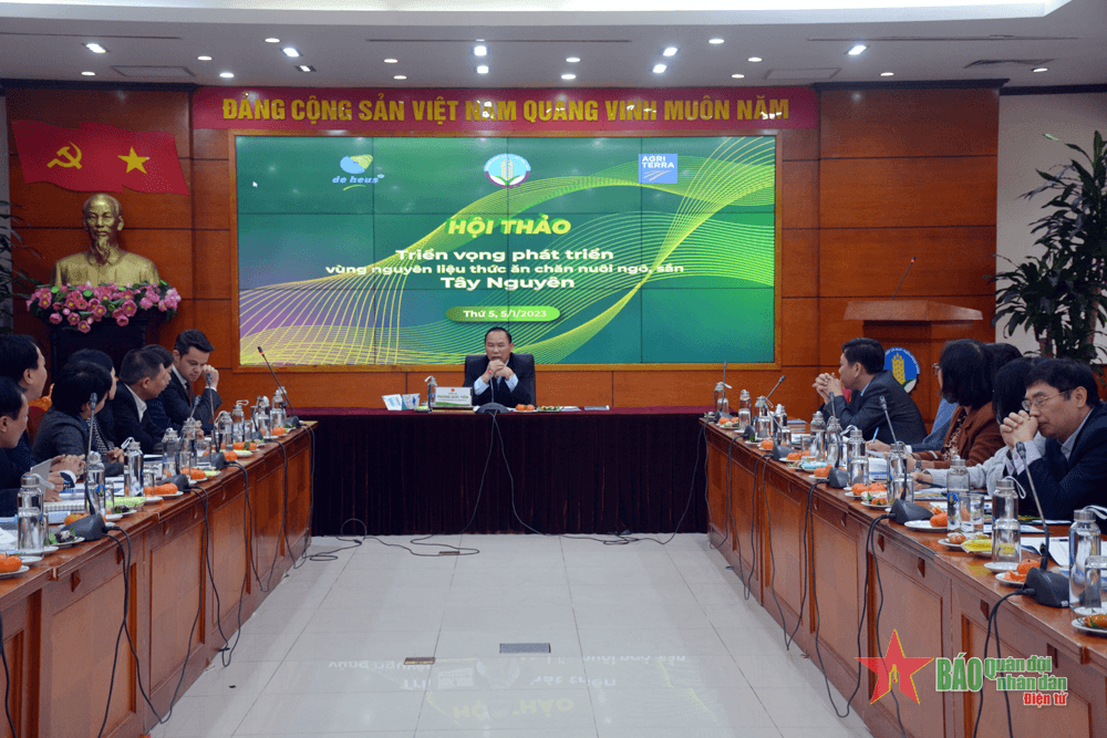 Triển vọng phát triển vùng nguyên liệu thức ăn chăn nuôi ở Tây Nguyên