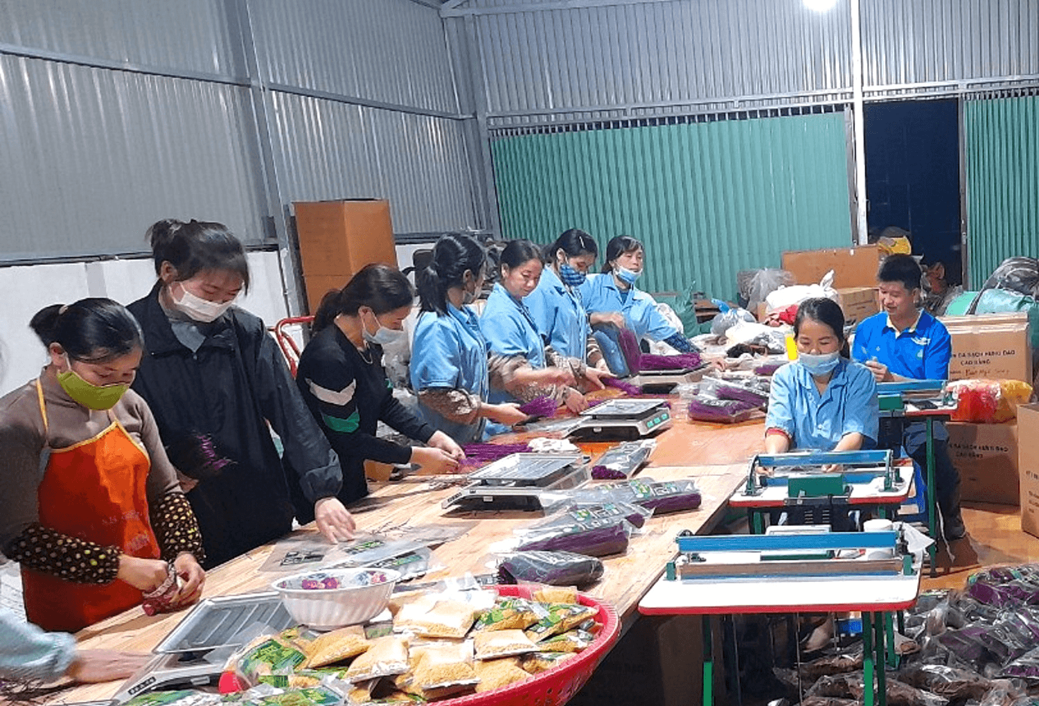 “Ba sạch” trong sản xuất và phân phối nông sản