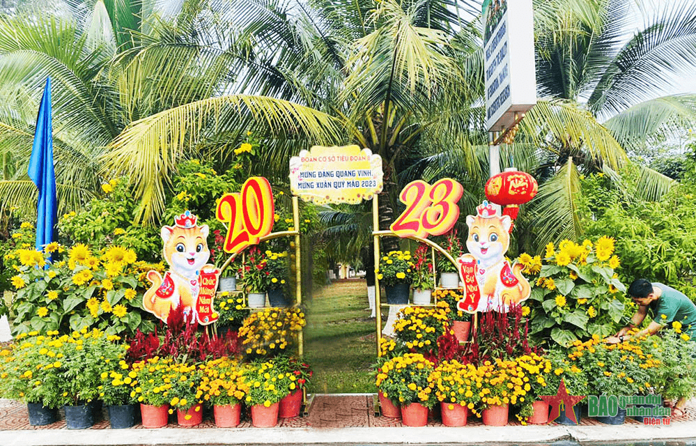 Rực rỡ sắc màu Đường hoa thanh niên