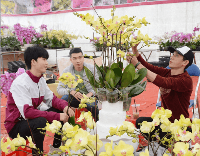 Muôn sắc hoa xuân làm đẹp Thủ đô