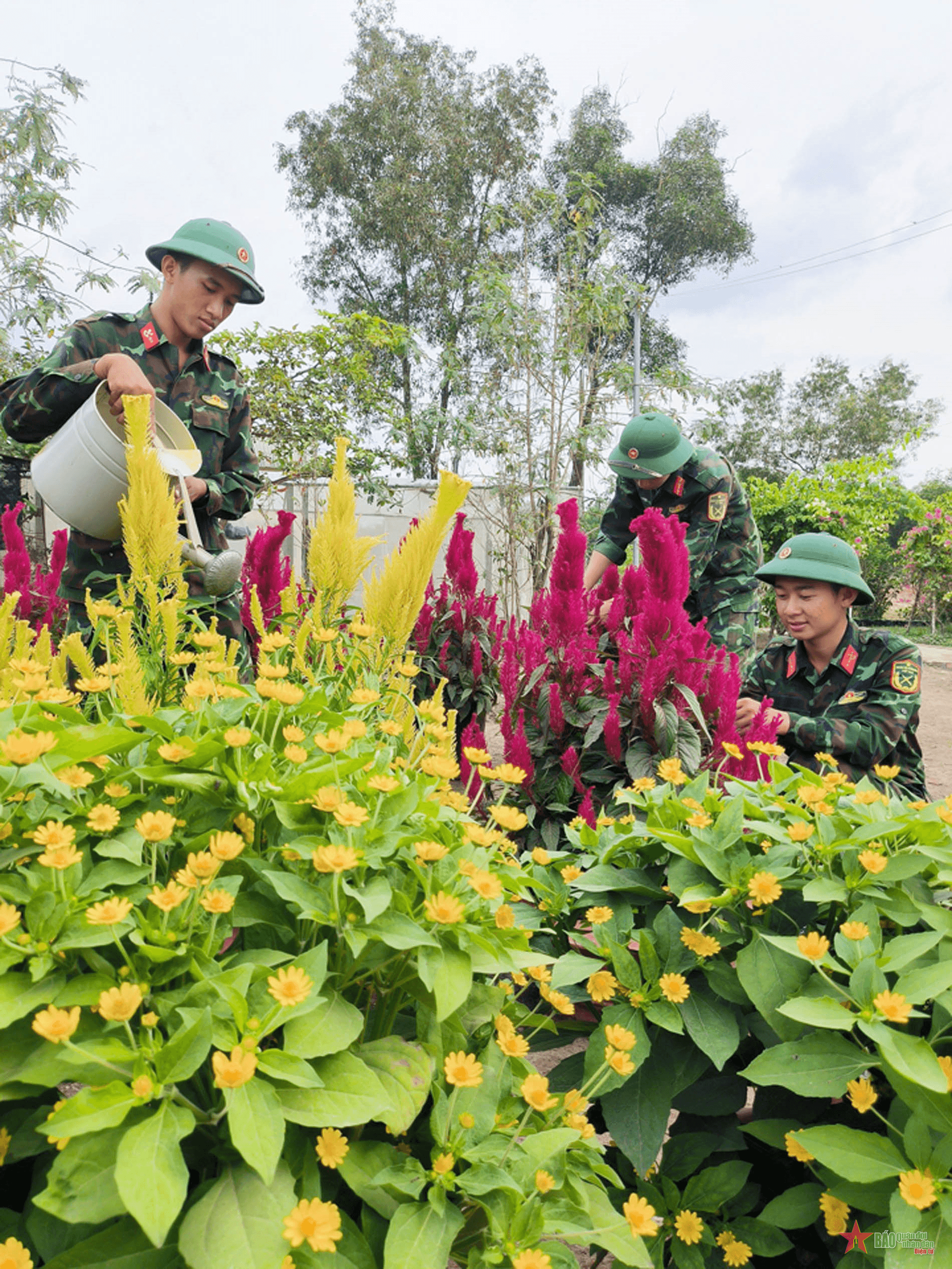Đường hoa Xuân Sư đoàn 9