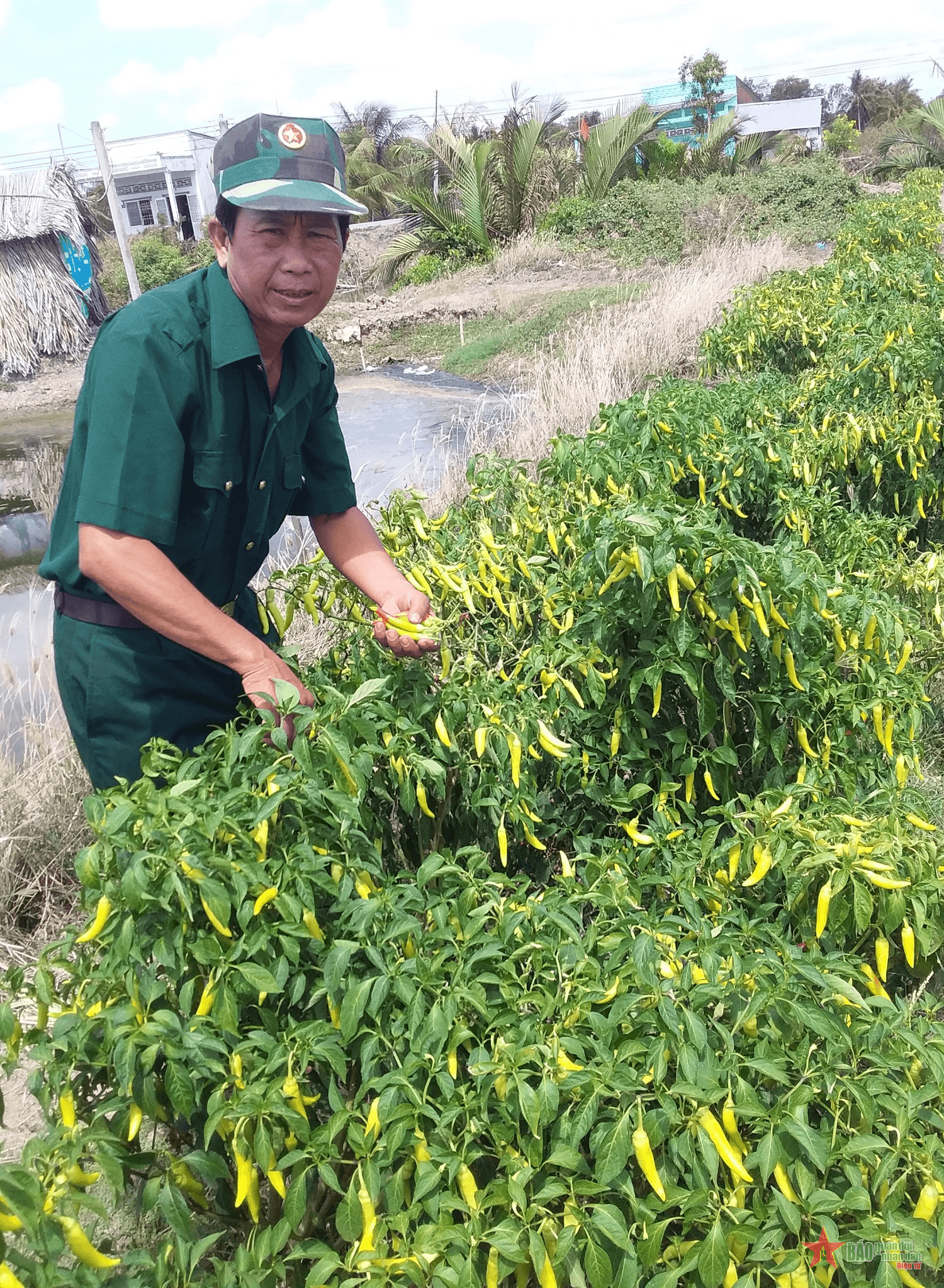 Chi hội trưởng cựu chiến binh gương mẫu