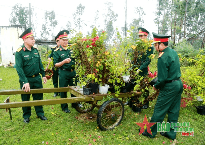 Bộ Tham mưu Quân khu 5: Trồng cây cho núi Phước Tường xanh thắm