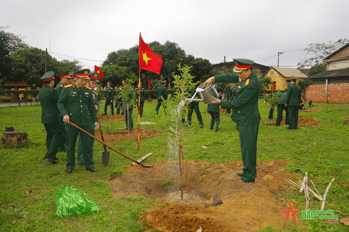 Tỉnh Quảng Bình trồng mới 9.000 hecta rừng trong năm 2023