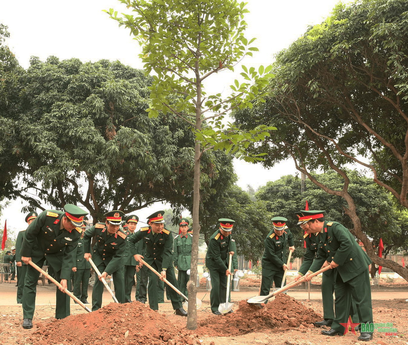 Tổng cục Hậu cần sẽ trồng mới 10.000 cây xanh