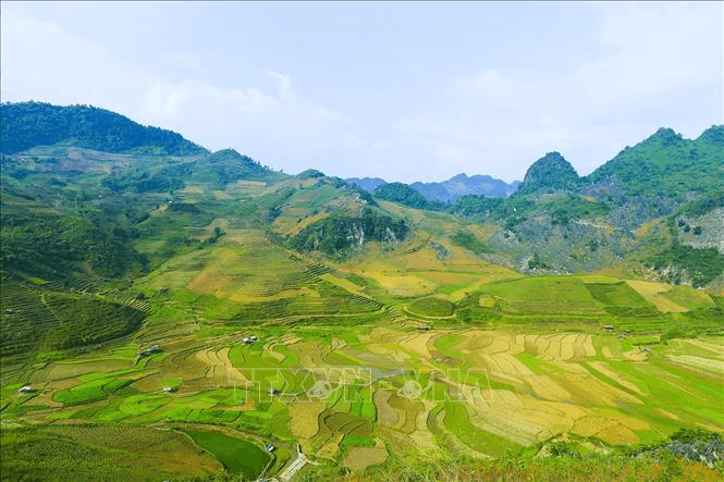 Ngời lên màu xanh bất tận
