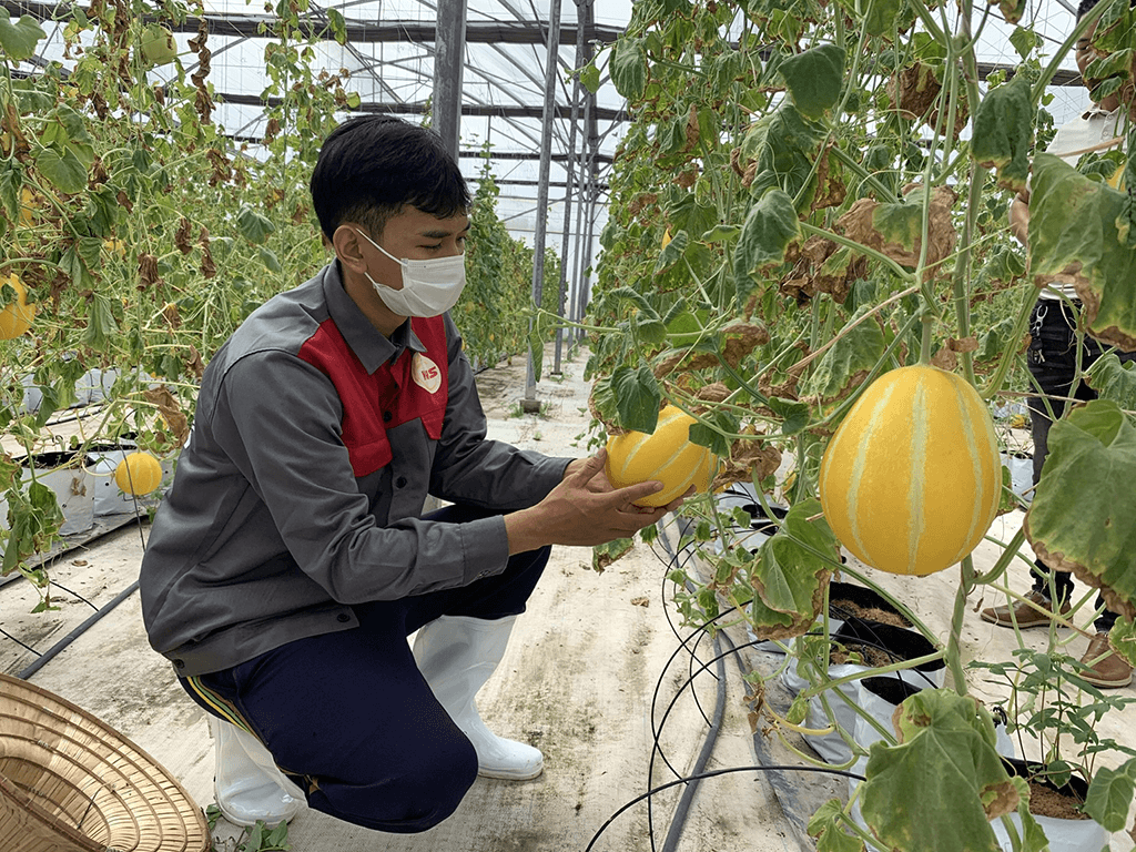 Chìa khóa để doanh nghiệp phát triển bền vững