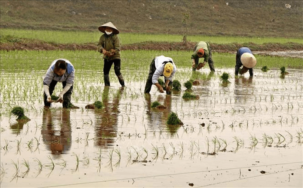 Mùa nước đổ ải