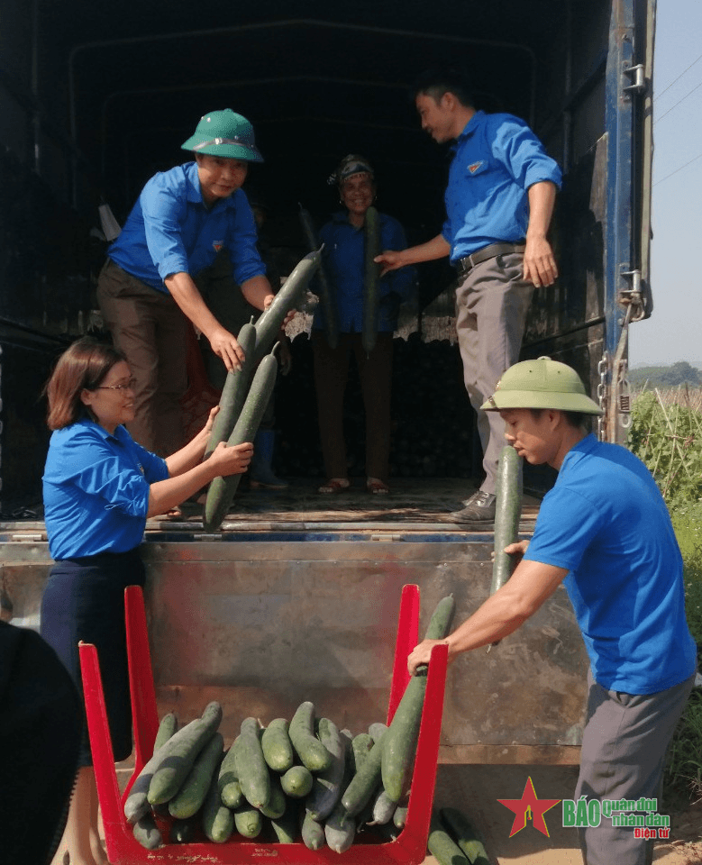 Phú Thọ: Người dân xã Văn Lang khá lên nhờ trồng bí