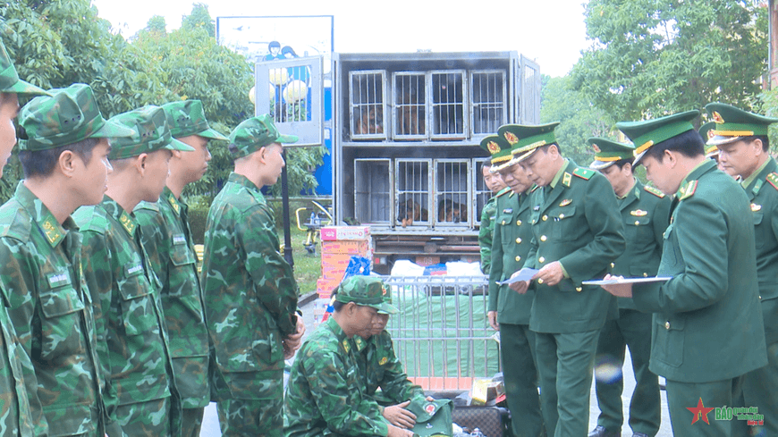 "Những người bạn trung thành" sẽ cùng tham gia cứu hộ tại Thổ Nhĩ Kỳ