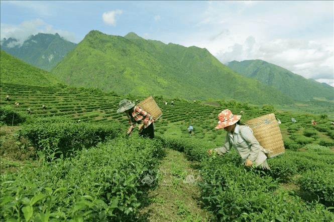 Tuyên truyền hiệu quả giúp thay đổi cuộc sống người dân