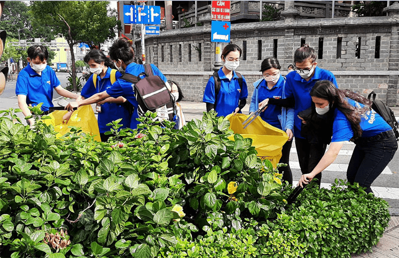 Chung sức vì thành phố xanh