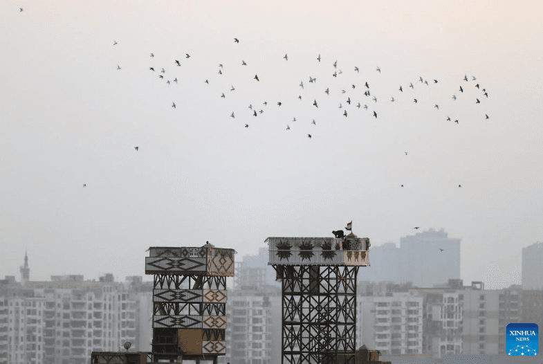 Thú vui và nghề kinh doanh độc đáo ở Ai Cập