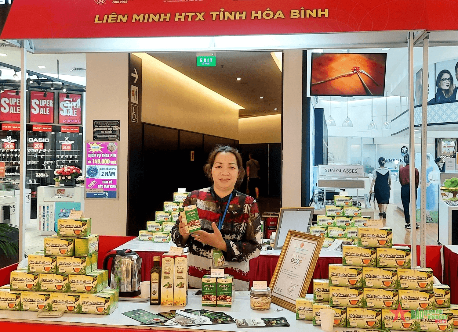 Đầu tư phát triển cây dược liệu ở vùng cao