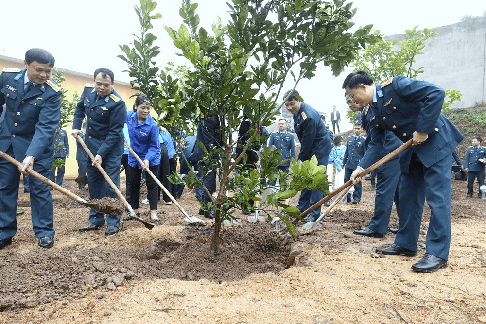 Thiết thực Tết trồng cây ở Sư đoàn 363