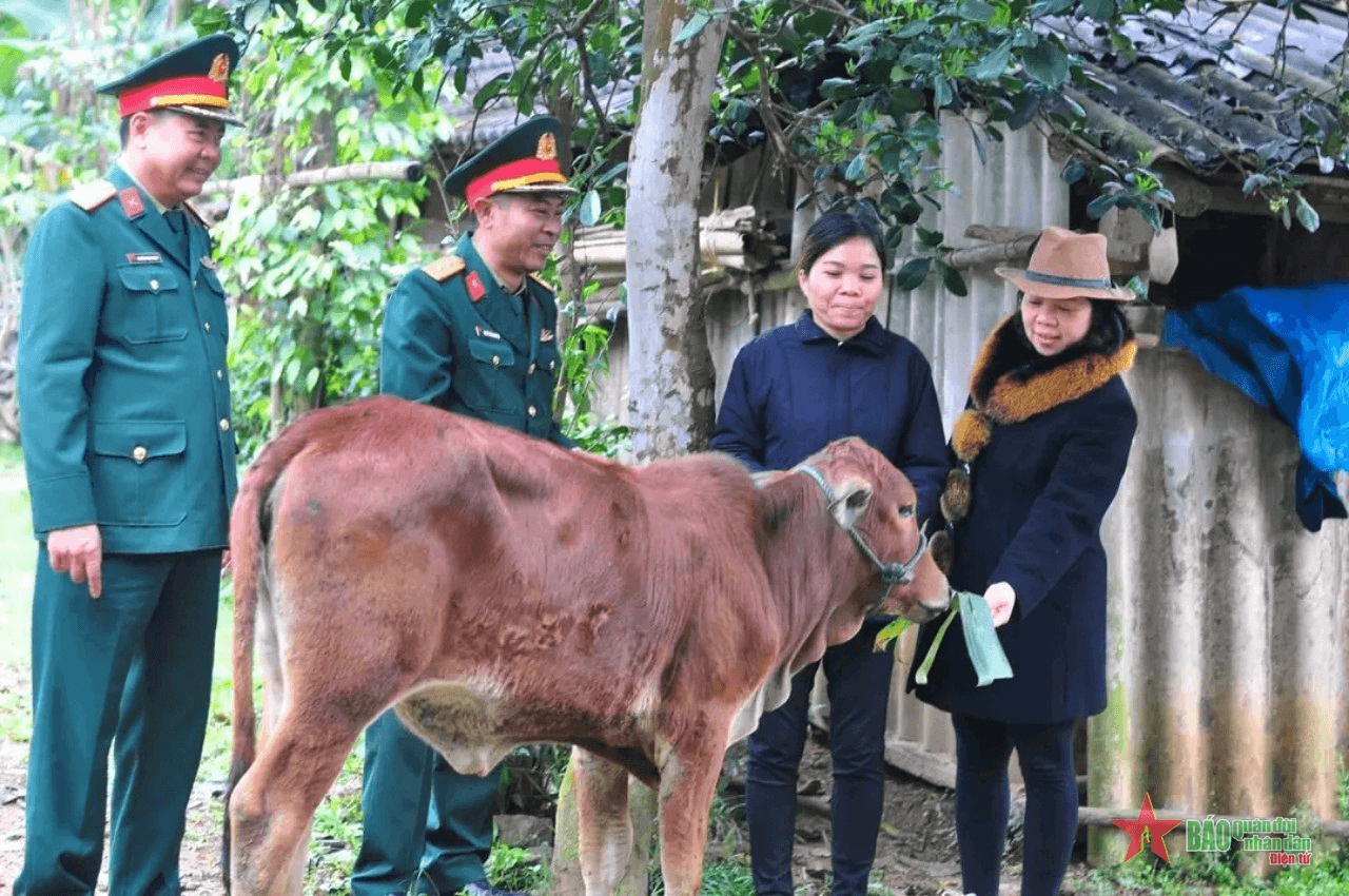 Trao bò sinh kế tặng gia đình quân nhân