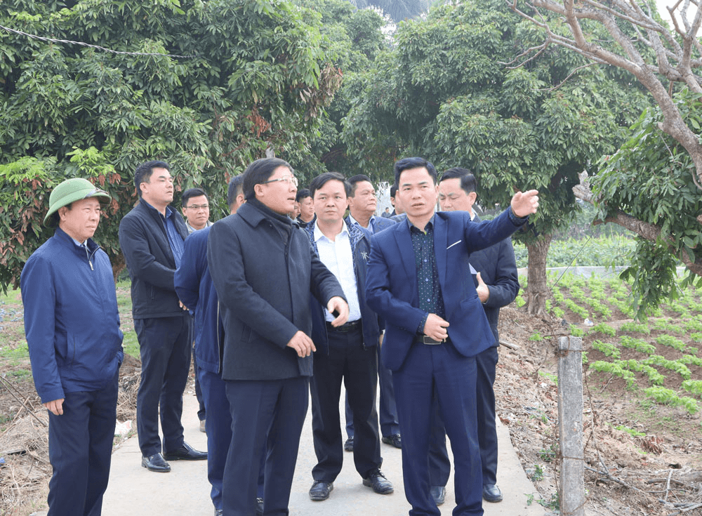 Phát huy vai trò người đứng đầu trong giải phóng mặt bằng xây dựng đường Vành đai 4