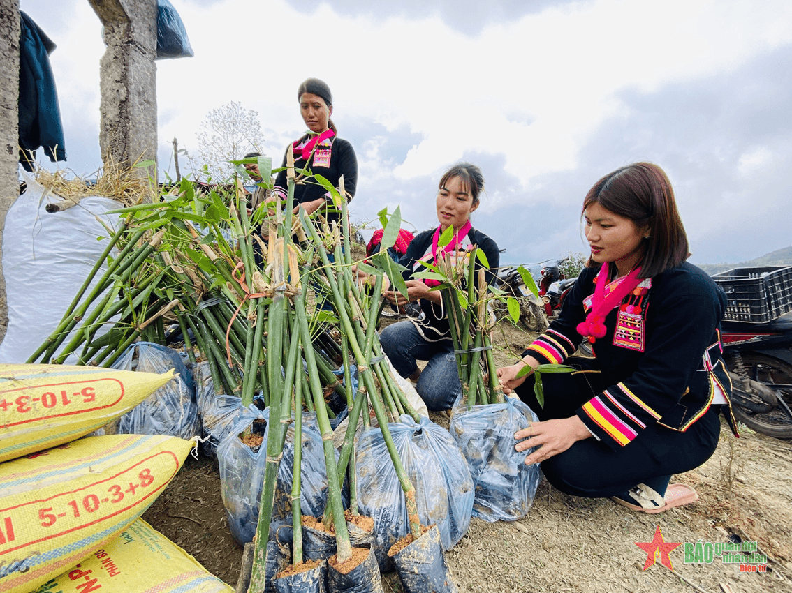 “Lũy tre biên thùy” – Xanh thắm niềm tin yêu!