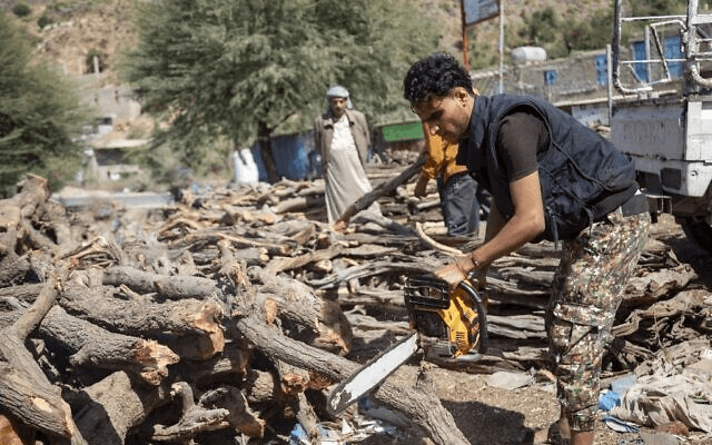 Yemen đối mặt với tình trạng phá rừng lấy củi
