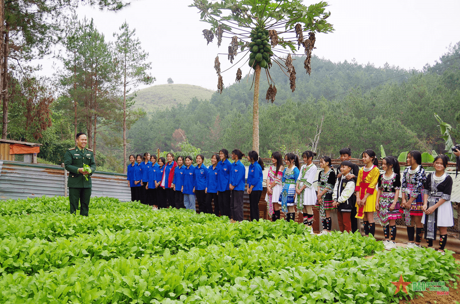 Trồng rau xanh tặng học trò vùng biên