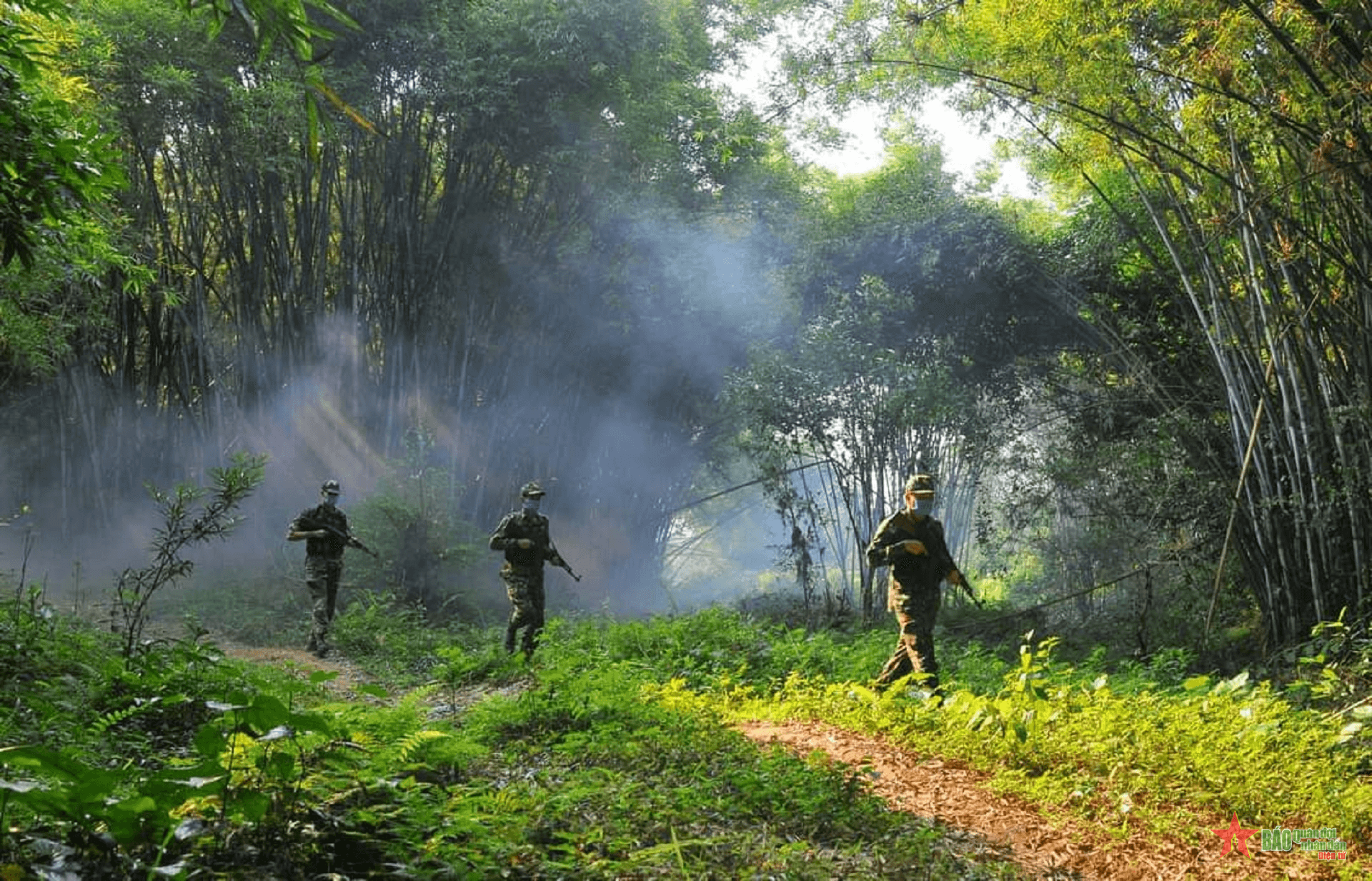 Trồng tre giữ đất nơi biên thùy