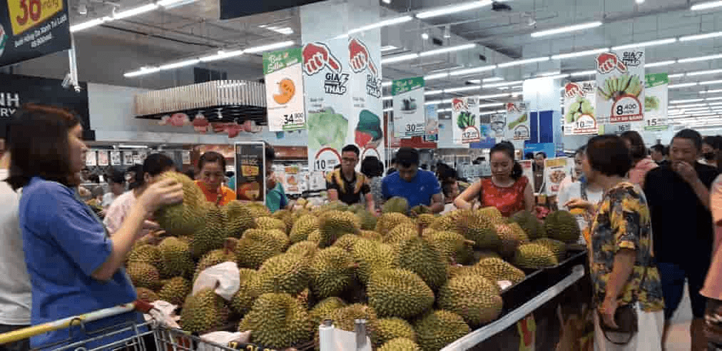 Phát triển “nóng” cây sầu riêng, tiềm ẩn nhiều hệ lụy