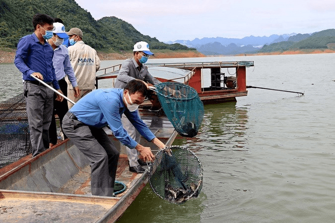 Phát triển kinh tế lòng hồ tạo thu nhập ổn định