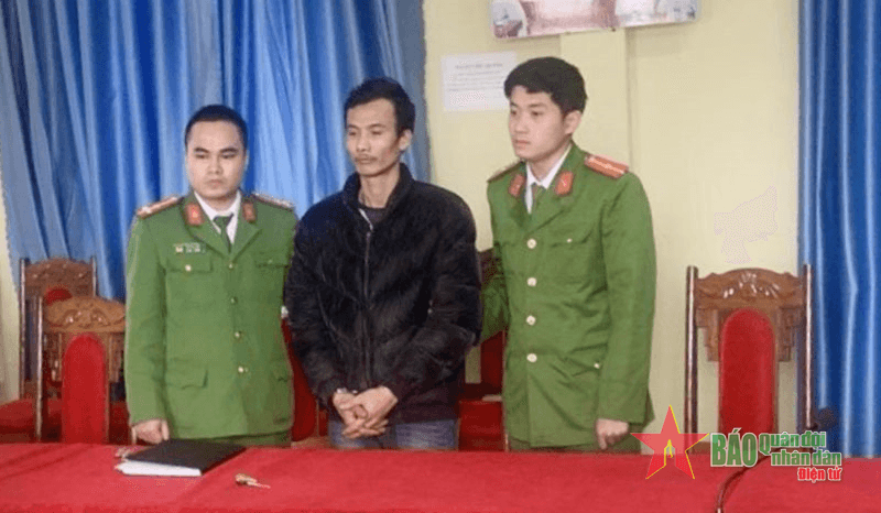 Lai Châu: Khởi tố vụ án vi phạm quy định về khai thác, bảo vệ rừng và lâm sản