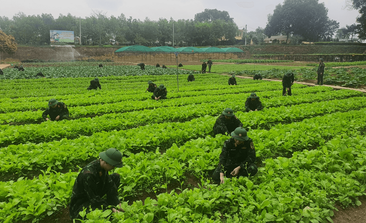 Chủ động, sáng tạo để nâng cao chất lượng phục vụ