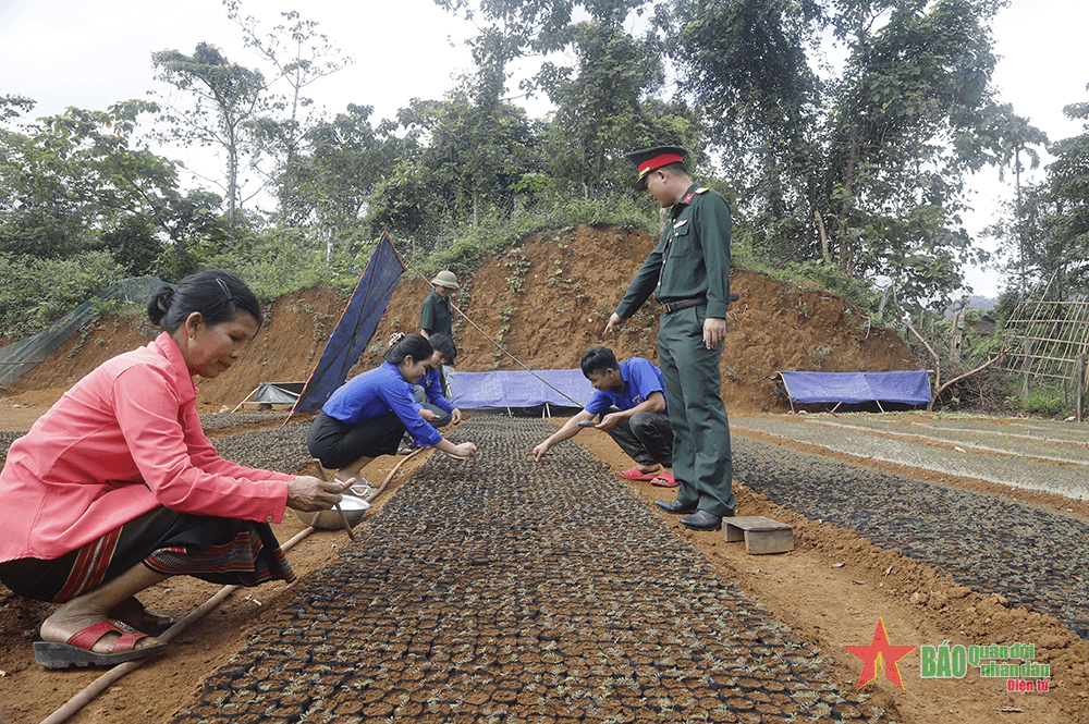 Bộ đội mang về no ấm