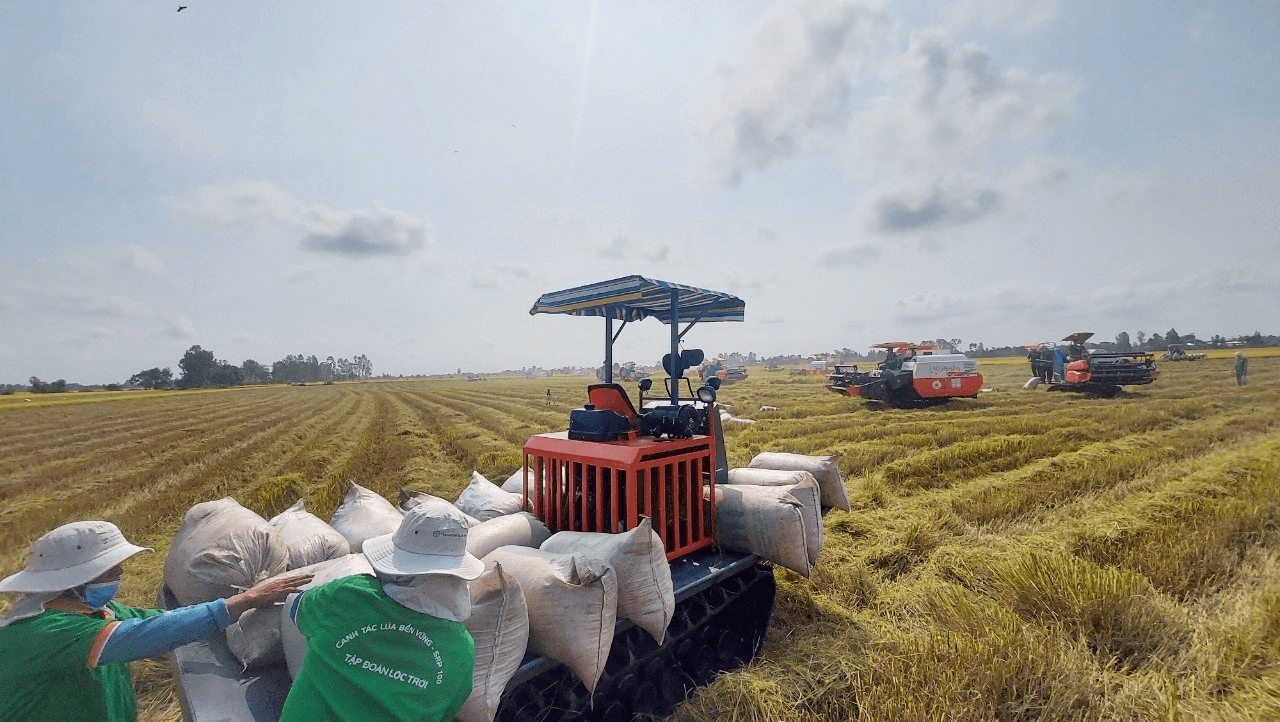 Đề án hay, cần cách làm hiệu quả
