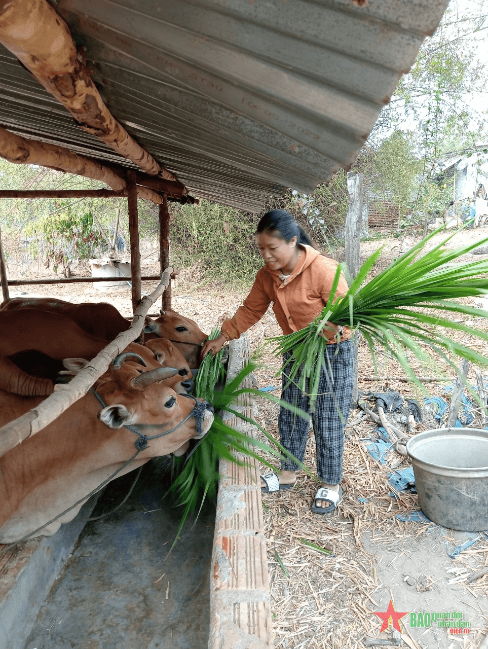 Hiệu quả nguồn vốn vay tín dụng chính sách ở Đăk Tô