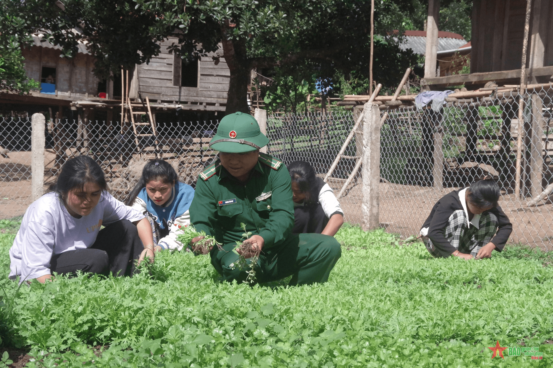 "Thực túc binh cường" ở Đồn Biên phòng Cồn Roàng