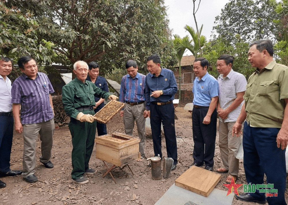Niềm vui từ gia trại