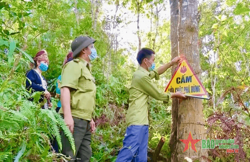 Công tác phòng, chống cháy rừng tại các tỉnh Tây Bắc: Phòng ngừa từ sớm, từ xa