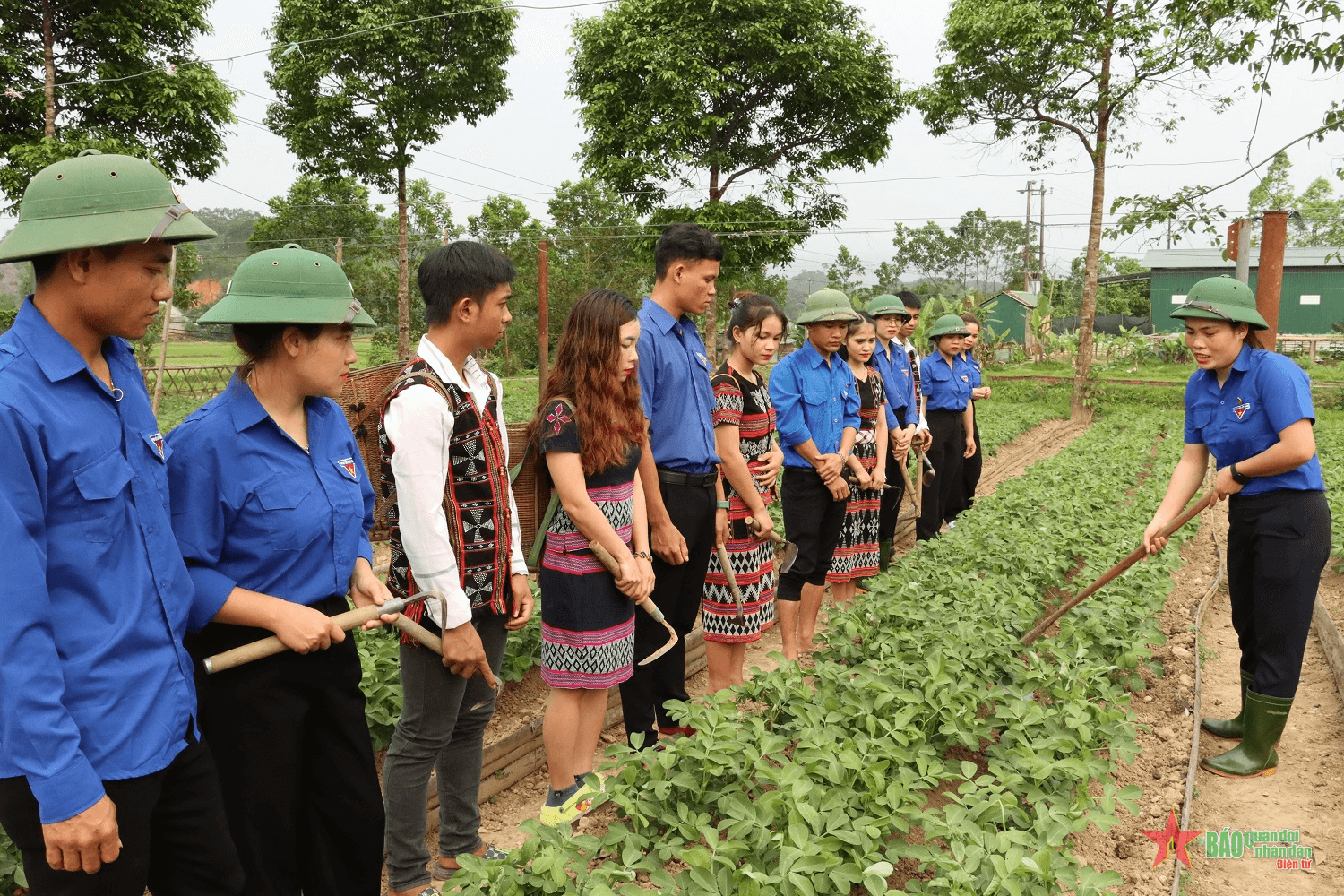 Dấu ấn trí thức trẻ tình nguyện với đồng bào khó khăn