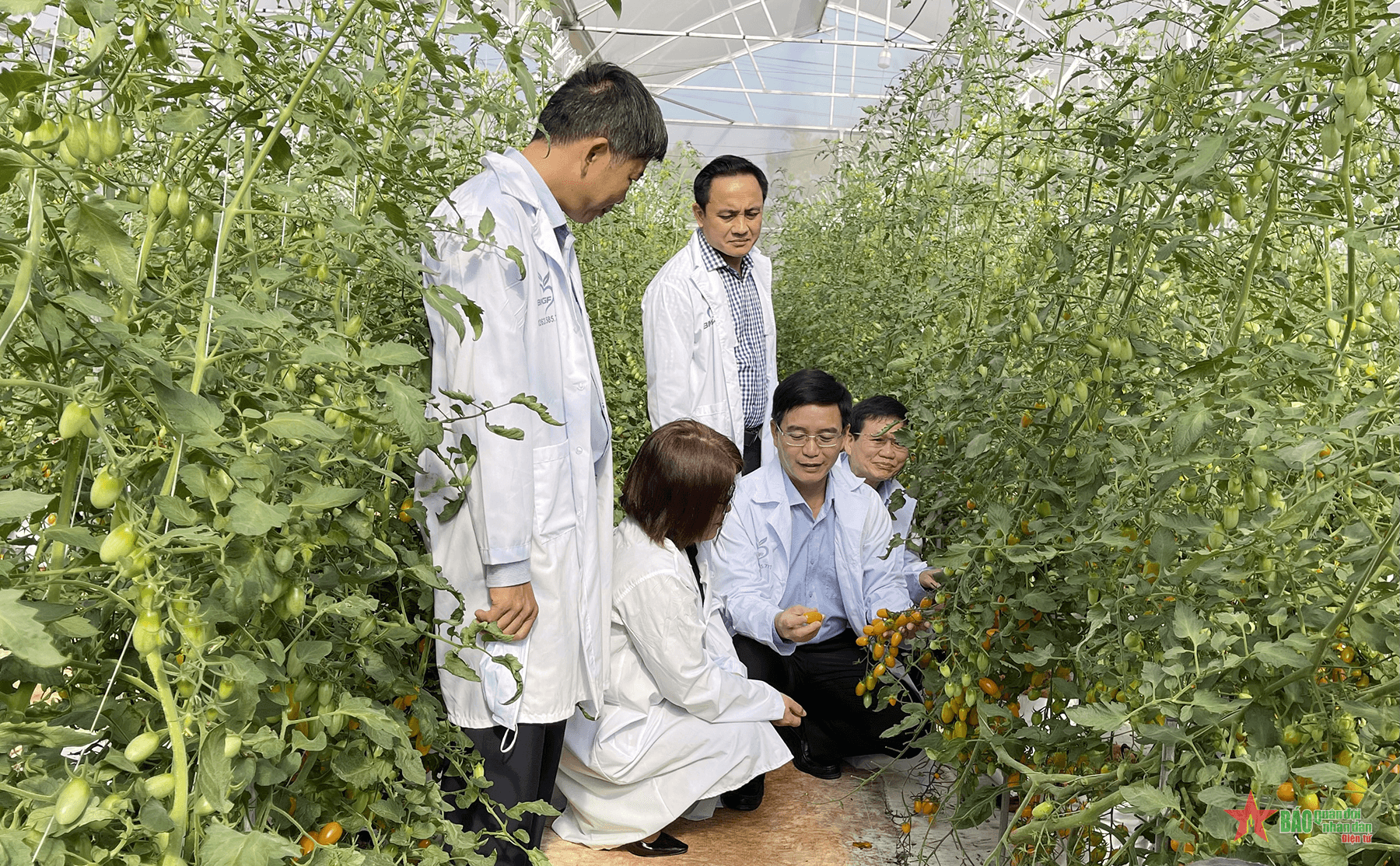 Dân đồng lòng, quân chung sức xây dựng nông thôn mới