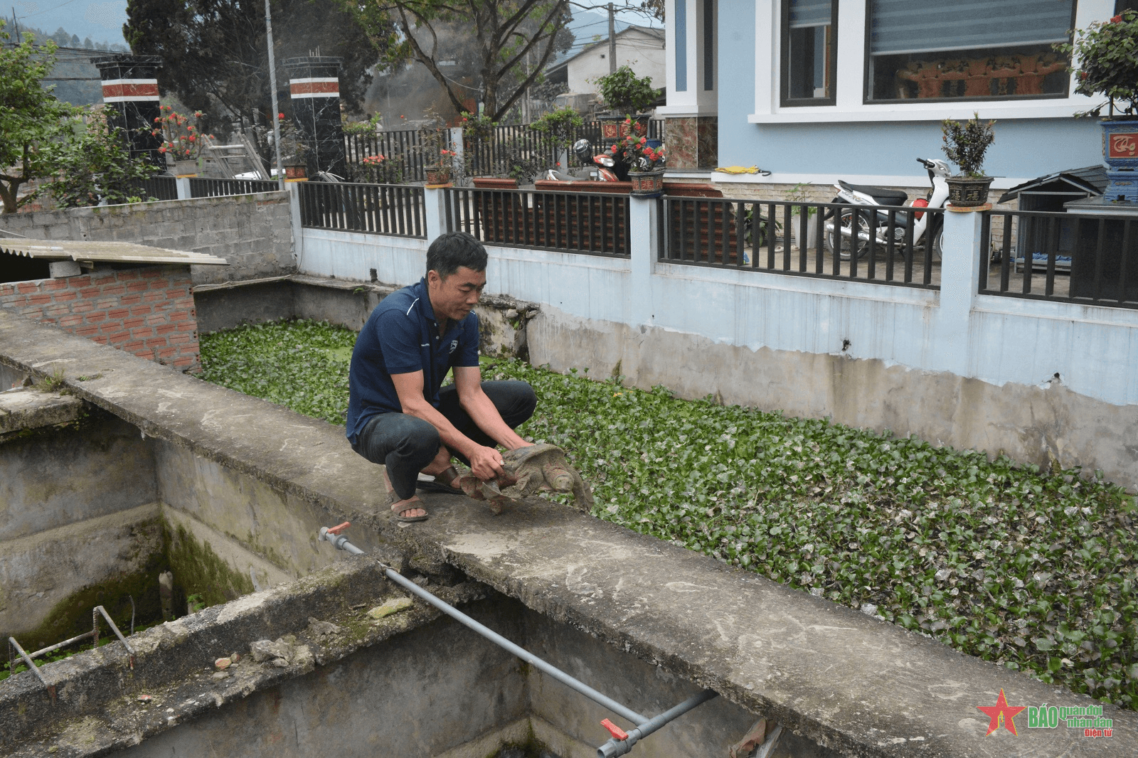 Xã Cát Thịnh (Văn Chấn, Yên Bái): Nhiều hộ đồng bào dân tộc thiểu số trở thành tỷ phú nhờ nuôi ba ba