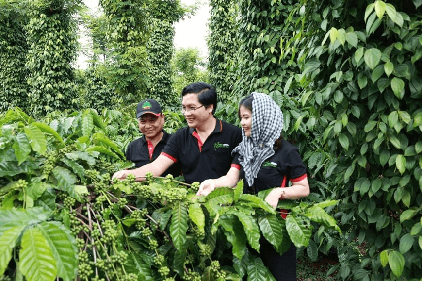 Hỗ trợ nông dân Việt Nam chuyển đổi sang nông nghiệp tái sinh